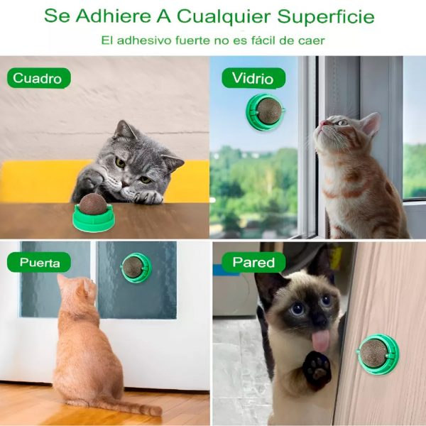 Pack de Bolas de hierba gatera - Imagen 3
