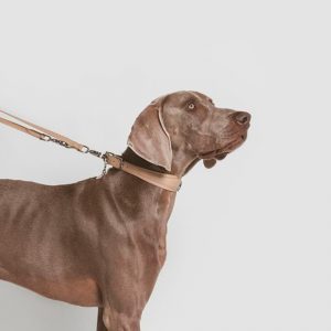 Collar Cuero
