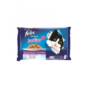 Felix Fantastic Junior
