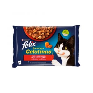 Felix Sensations del Campo