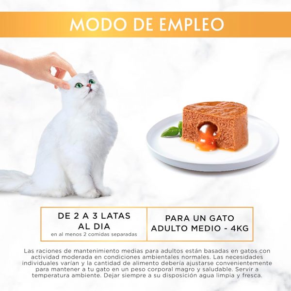 Gourmet Gold Fondant de Atún - Imagen 3