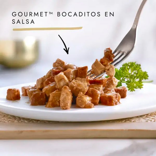 Gourmet Gold de Salmón y Pollo - Imagen 2
