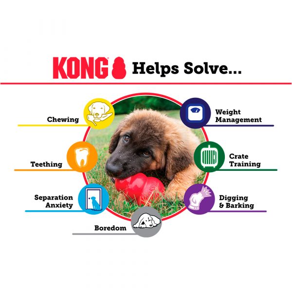 Kong Extreme - Imagen 7