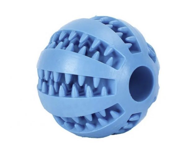 Pelota