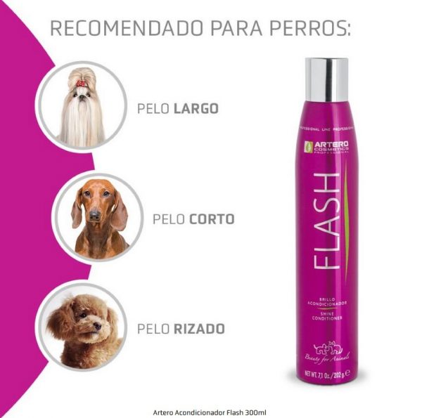 ARTERO-flash-acondicionador