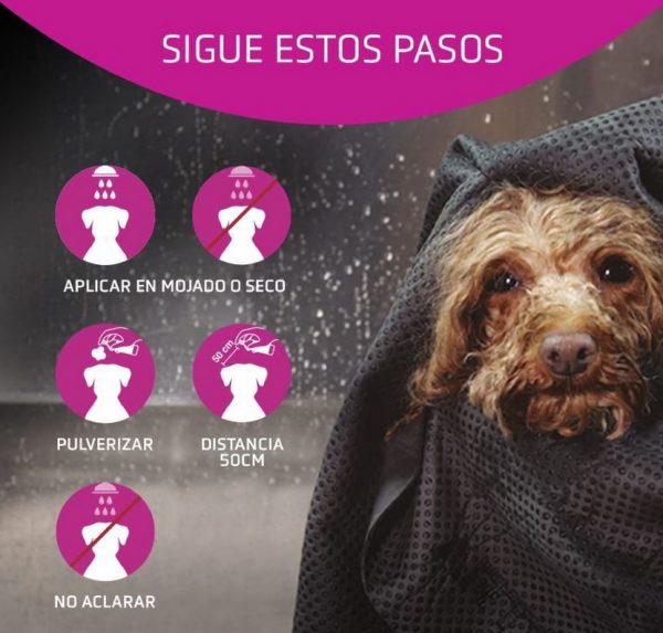 ARTERO-flash-acondicionador