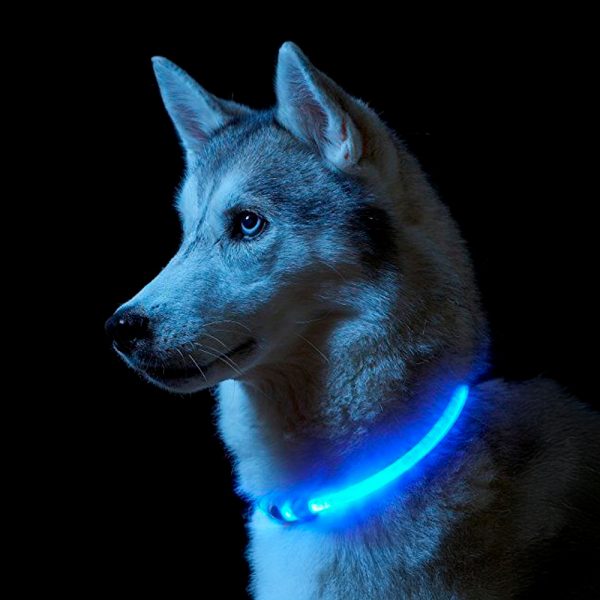 Collar Luz Led