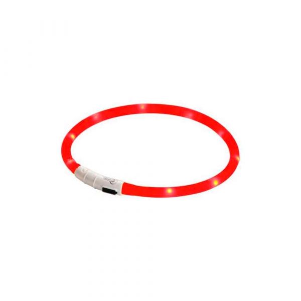 Collar Luz Led - Imagen 2