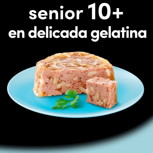 Cesar Multipack Senior - Imagen 2