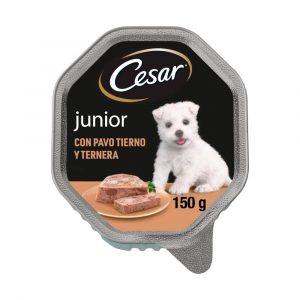 Cesar Tarrina Clásica Junior