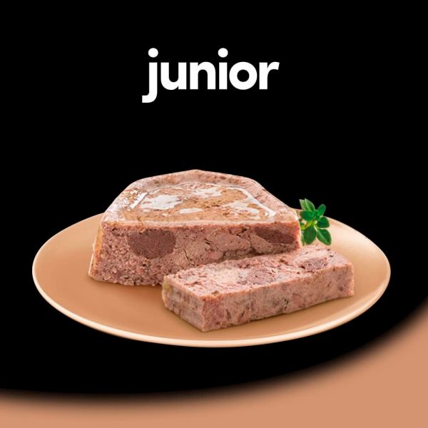 Cesar Tarrina Clásica Junior - Imagen 2